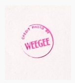 07-weegee